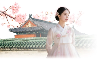 South Korea Travel Documents South Korea Travel Documents